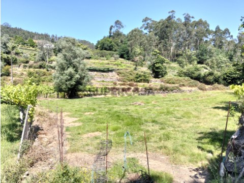 Terreno