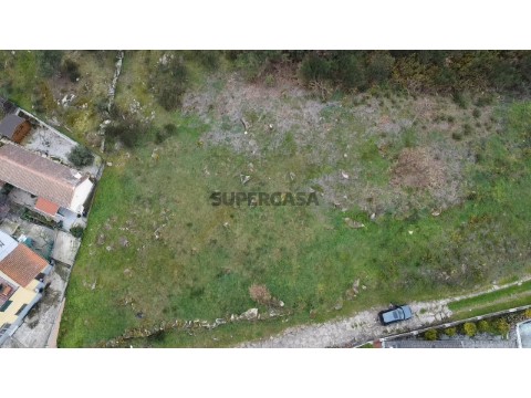 dji_fly_20250312_162401_0_1741796641765_photo_low_quality
