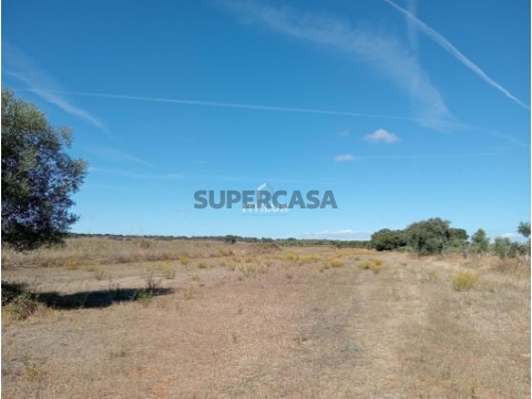 农村土地 在 São Brás e São Lourenço, Elvas