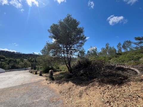 Terreno Urbano em Alcabideche, Cascais