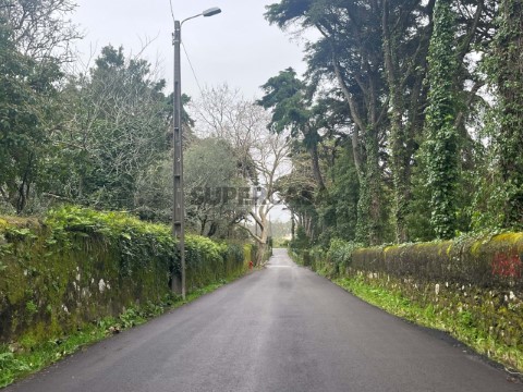 Cattle Ranch 10 卧室 在 S.Maria e S.Miguel, S.Martinho, S.Pedro Penaferrim, Sintra
