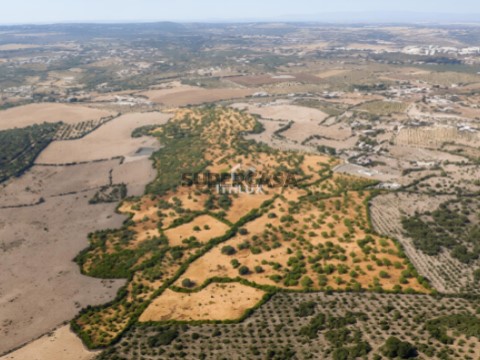 Rurale boerderij 3 kamers Op Assunção, Ajuda, Salvador e Santo Ildefonso, Elvas