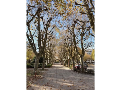 Terreno Urbano em Ovar, Ovar