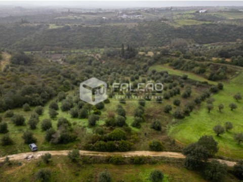 Terreno Misto em Pernes, Santarém