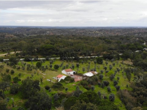 DJI_0431_2024-03-02_01-27-06_screenshot
