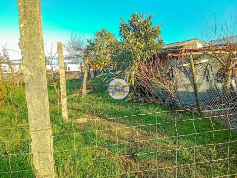 Terreno em Albergaria-a-Velha e Valmaior, Albergaria-a-Velha