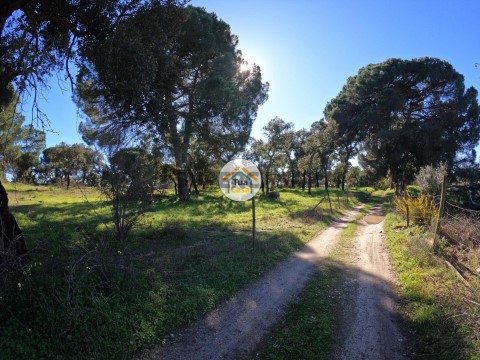 Terreno em Cortiçadas de Lavre, Montemor-o-Novo