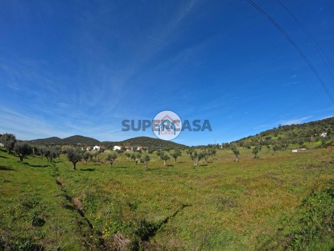 Terreno em Santiago do Escoural, Montemor-o-Novo