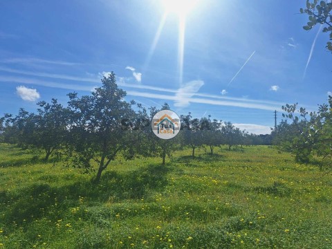 Terreno em Faro (Sé e São Pedro), Faro