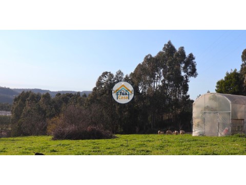 Terreno en Vila Nova de Famalicão e Calendário, Vila Nova de Famalicão