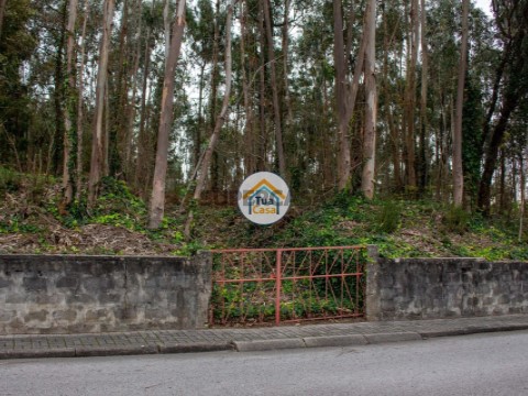 Terreno em Lourosa, Santa Maria da Feira
