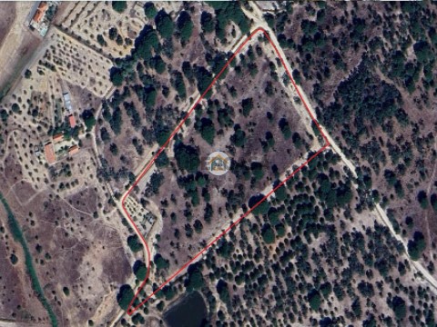 Grundstück auf Cortiçadas de Lavre, Montemor-o-Novo