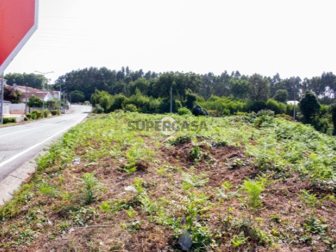 Terreno em São Paio de Oleiros, Santa Maria da Feira