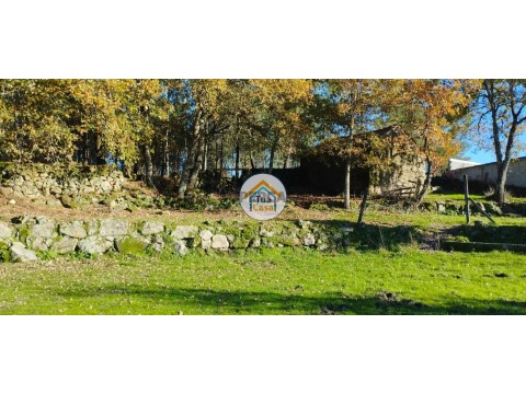 Terreno em Bodiosa, Viseu