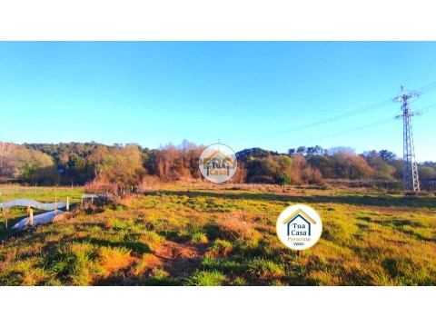 Terreno em São João de Lourosa, Viseu