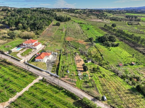 Terreno em Roliça, Bombarral