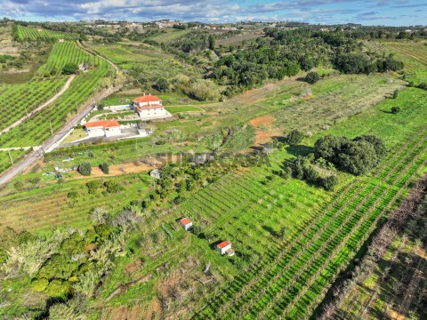 Terreno em Roliça, Bombarral