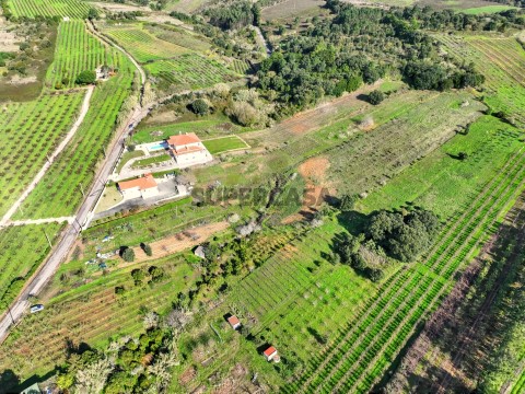 Terreno em Roliça, Bombarral