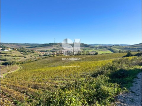 Terreno em União Freguesias Santa Maria, São Pedro e Matacães, Torres Vedras