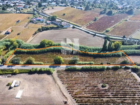 Lote em Runa, Torres Vedras
