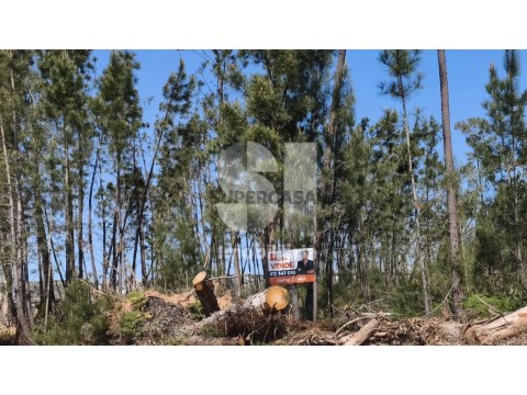 Lote em Nossa Senhora da Piedade, Ourém