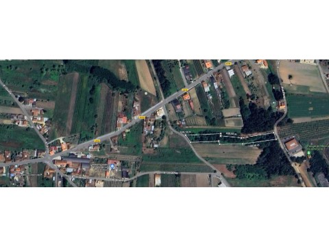 Gründstück auf Bustos, Troviscal e Mamarrosa, Oliveira do Bairro