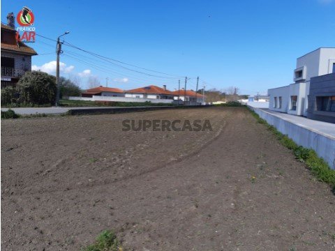 Lote em Bustos, Troviscal e Mamarrosa, Oliveira do Bairro