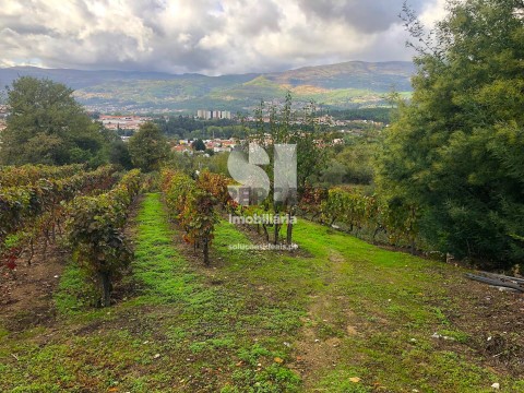 Terreno em Mateus, Vila Real