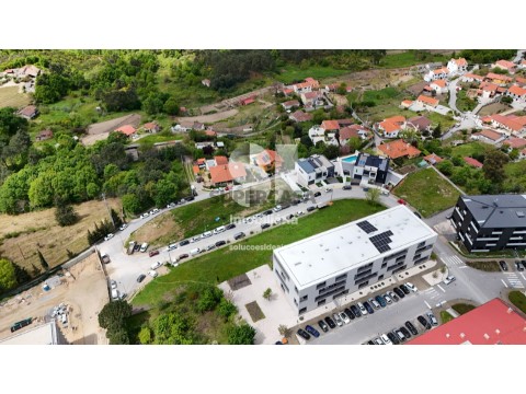Terreno em Borbela e Lamas de Olo, Vila Real
