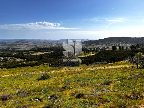 Terreno em Alijó, Alijó
