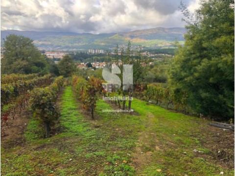 Lote em Mateus, Vila Real