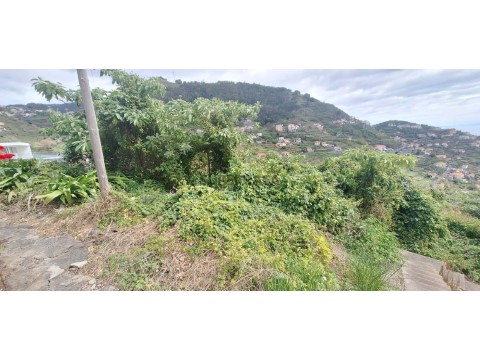 Terreno Rústico em Campanário, Ribeira Brava