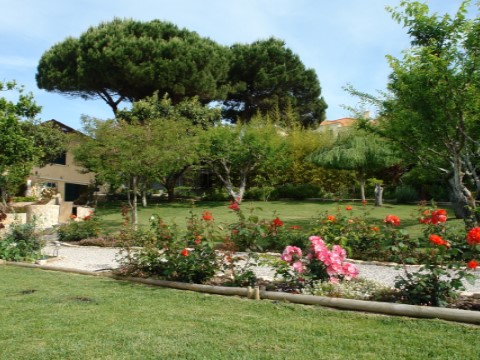 Jardim