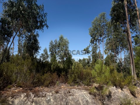 Terreno Urbano em Santa Clara e Castelo Viegas, Coimbra