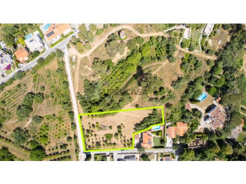 Terreno