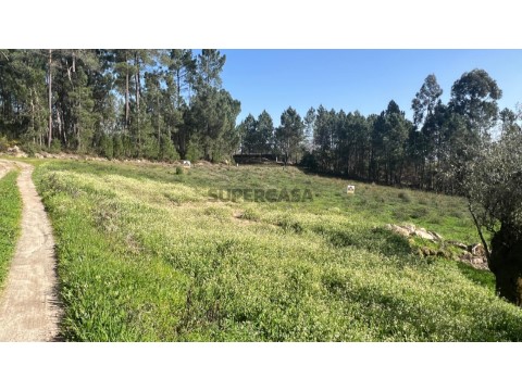 Terreno 940 m2