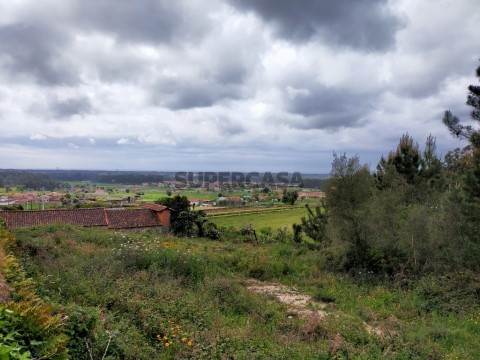 Terreno Urbano em Milhazes, Vilar de Figos e Faria, Barcelos