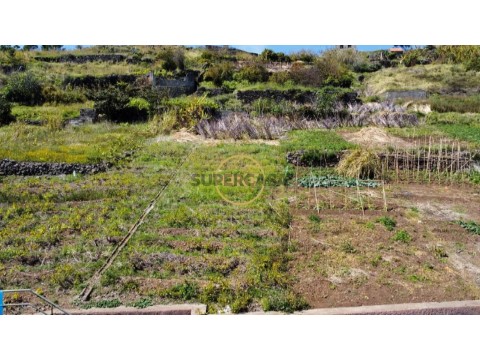 Lote em Quinta Grande, Câmara de Lobos
