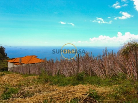 Lote em Canhas, Ponta do Sol