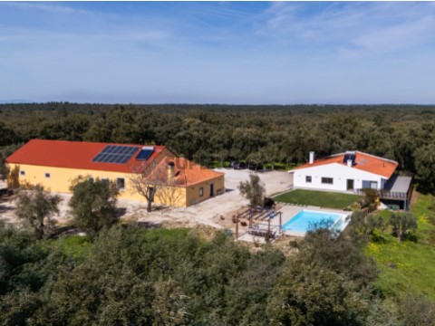 DJI_20260223131825_0503_D