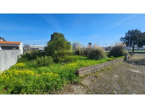 Lote em São Salvador, Ílhavo