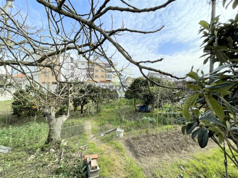 Terreno