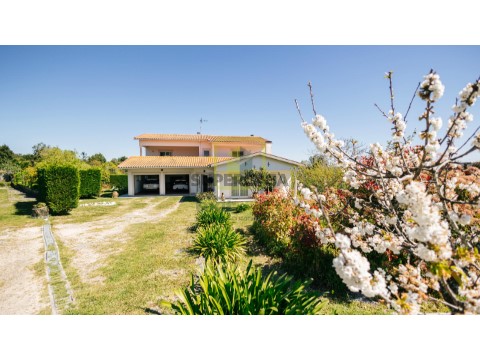 Alçado Principal