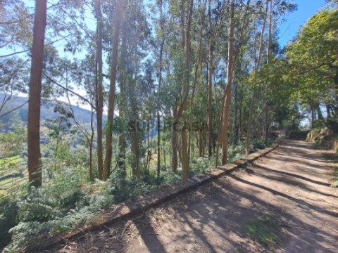 Terreno Rústico em Labrujó, Rendufe e Vilar do Monte, Ponte de Lima
