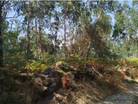 Terreno Rústico em Labrujó, Rendufe e Vilar do Monte, Ponte de Lima
