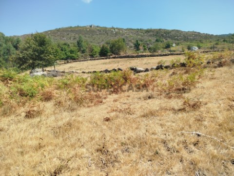 Terreno Rústico em Labrujó, Rendufe e Vilar do Monte, Ponte de Lima