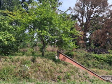 Terreno em Bárrio e Cepões, Ponte de Lima