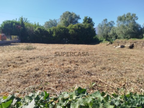 Terreno Urbanizável na Rua do Calvário, Torre e Vila Mou