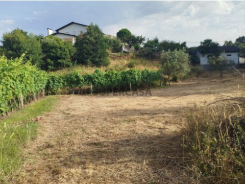 Terreno Urbanizável na Rua do Vale Escuro, Cabração e Moreira do Lima