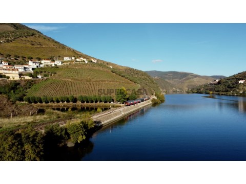 Terreno em Lamego (Almacave e Sé), Lamego